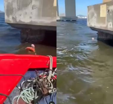 Imagem - Vídeo: homem cai da ponte Rio-Niterói e é salvo por pescadores