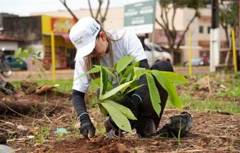 Voluntários plantam 400 mudas de árvores nativas em áreas de preservação permanente em Altamira