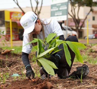 Imagem - Voluntários plantam 400 mudas de árvores nativas em áreas de preservação permanente em Altamira