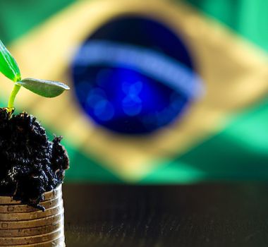 Imagem - Mercado de carbono engatinha mas engaja especialistas na indústria de investimentos