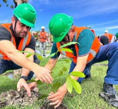 Imagem - Belém celebra o Dia Internacional das Florestas com plantio de mudas no Parque da Cidade