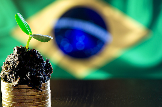 Mercado de carbono vive expectativa no Brasil. 