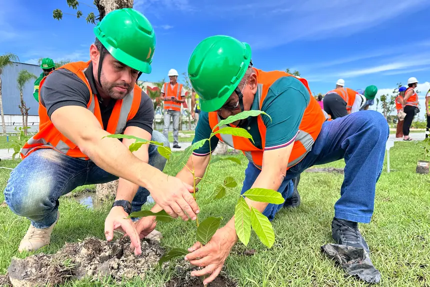  Parque da Cidade, que está sendo construído na área do antigo aeroclube Brigadeiro Protásio, ocupa uma espaço de 552 mil metros quadrados, o equivalente a 50 campos de futebol, e prevê o plantio de 2.500 árvores até o final de 2025.