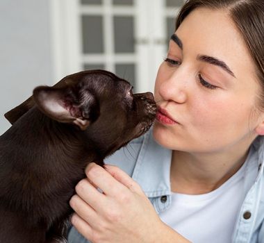 Imagem - “Lambeijos” dos pets podem ser perigosos à saúde humana?; saiba mais