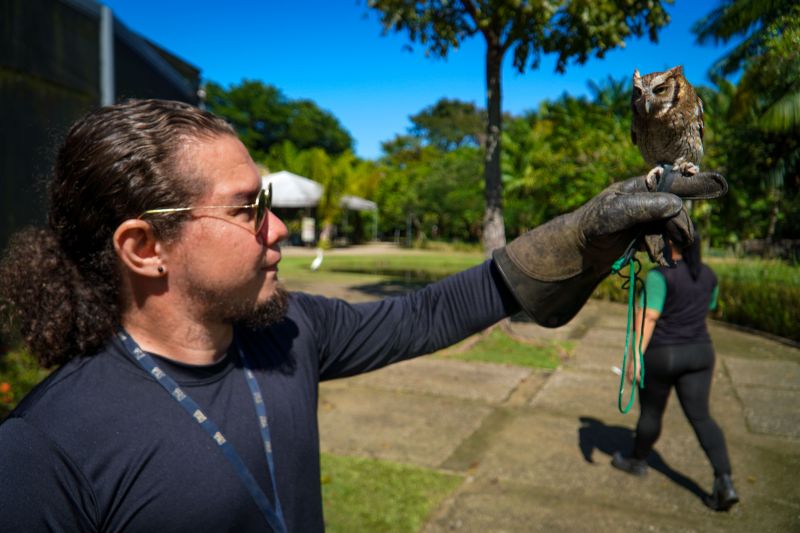 Falcoaria integra a programação diária do Mangal.