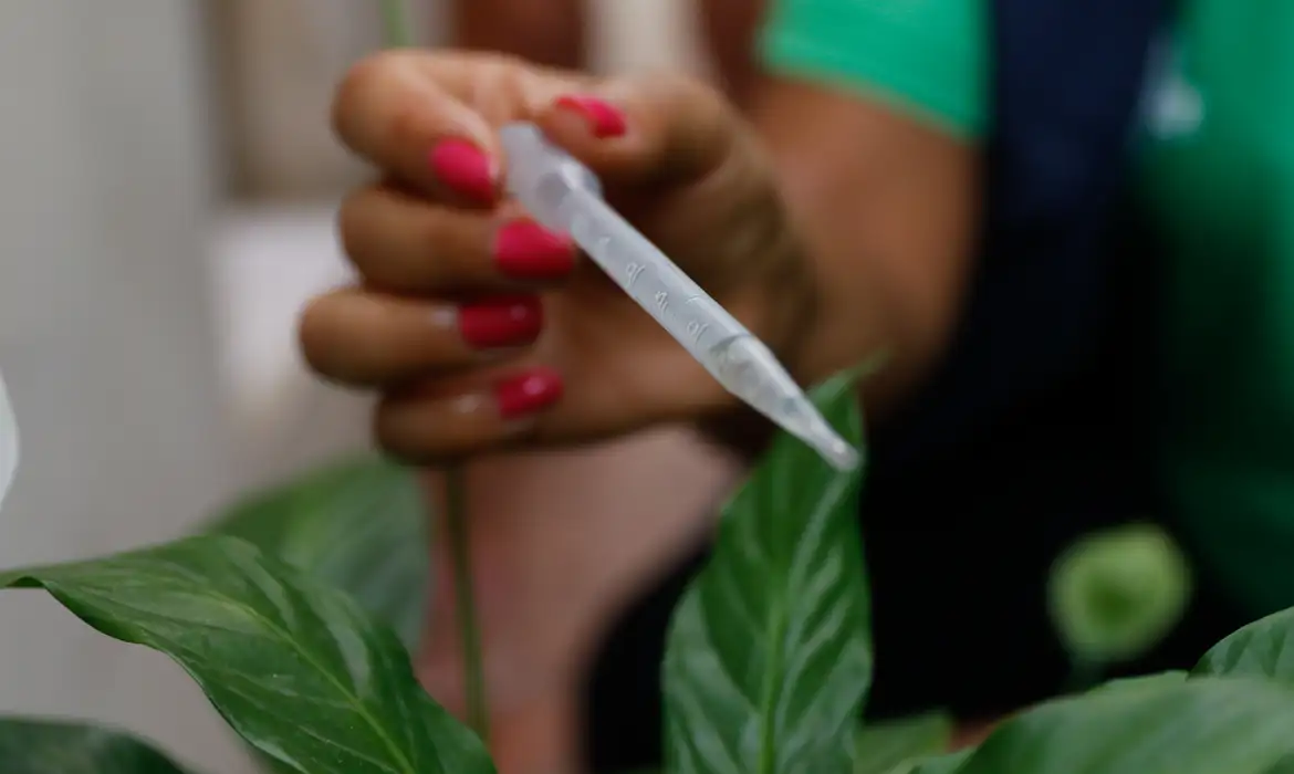 Imagem - São Paulo se aproxima de 300 mil casos confirmados de dengue