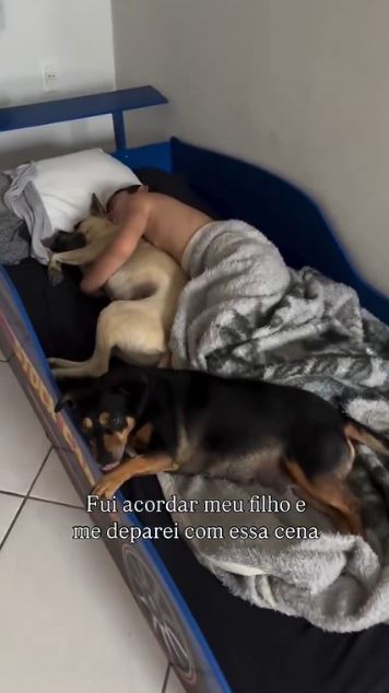 Imagem - Vídeo: criança dorme de conchinha com as cadelas e viraliza