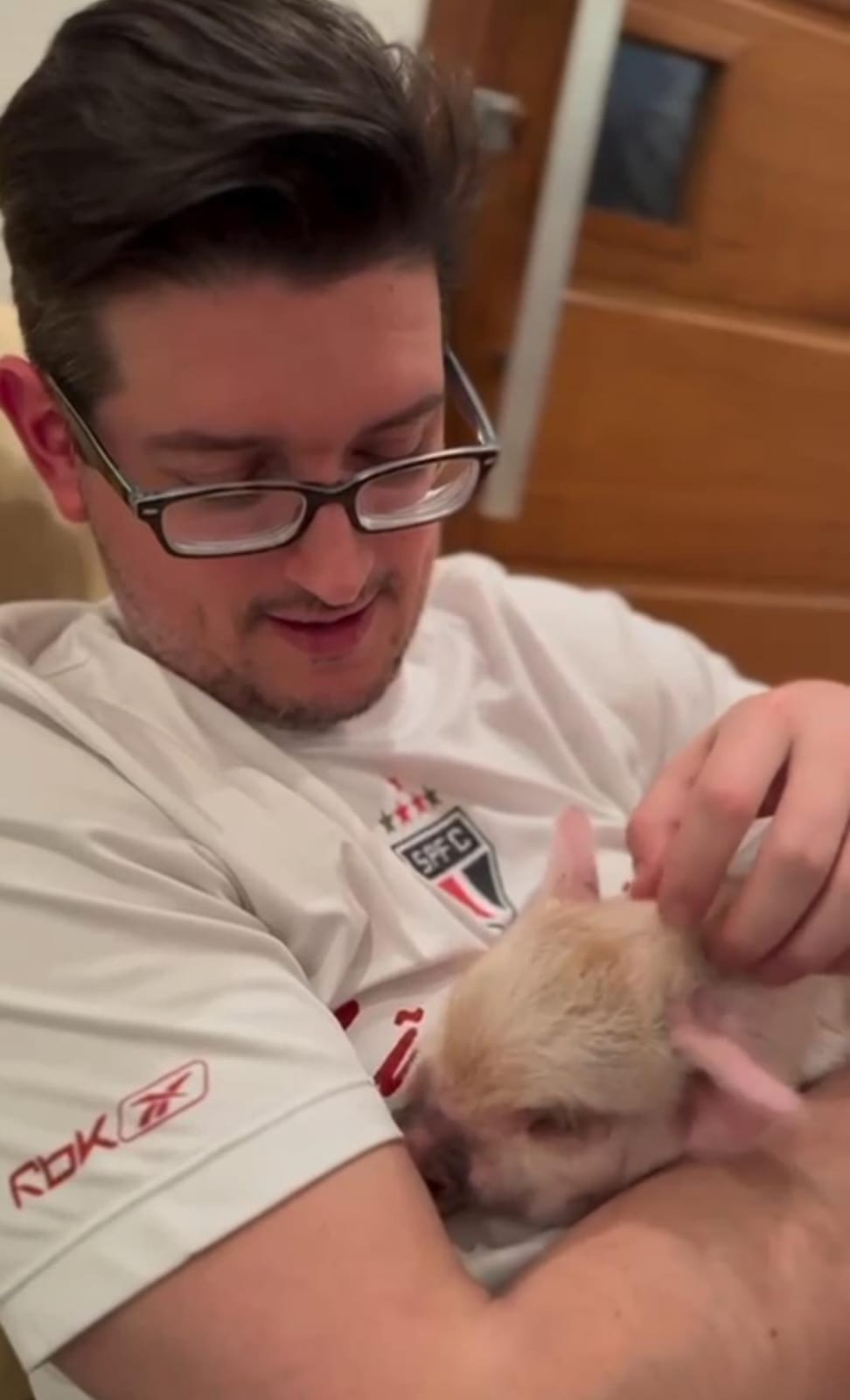 Imagem - Esposa adquire porquinho e marido rejeita adoção até ter contato com animal; assista