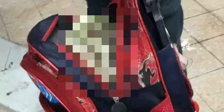 Imagem - Homem é flagrado pela polícia com um crânio dentro da mochila em Belém