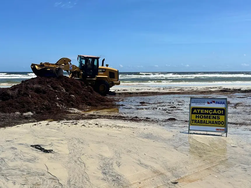 Imagem - Estado inicia operação para remover algas da praia do Atalaia, em Salinas