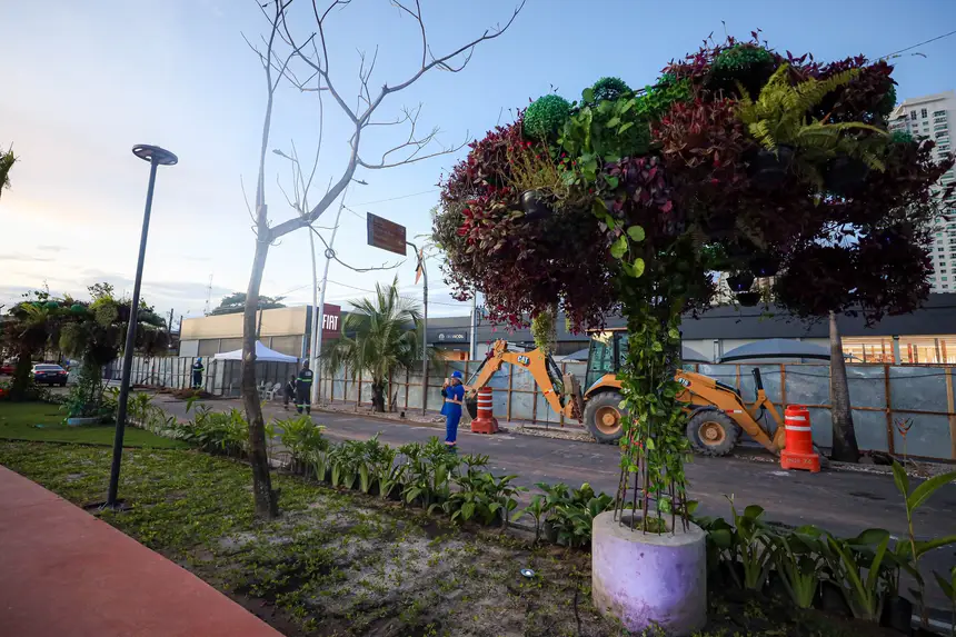 Imagem - Paisagismo sustentável é destaque em avanço da obra da Nova Doca