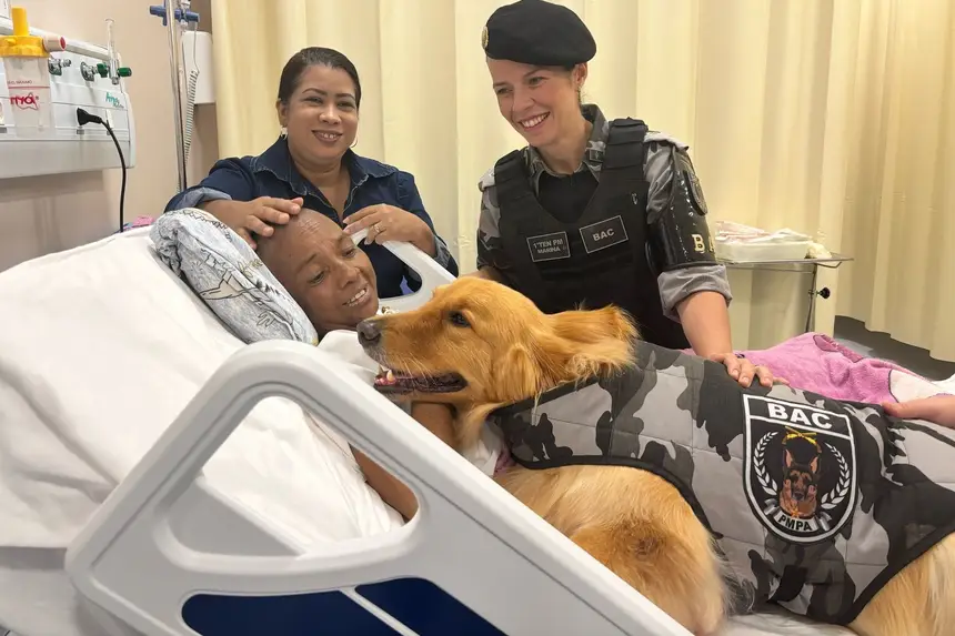 Imagem - Terapia com animais emociona pacientes em cuidados paliativos em hospital de Belém