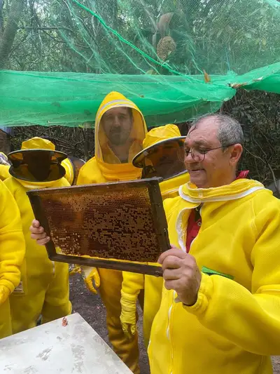 Imagem - Pará intensifica ações de vigilância em criações de abelhas com ferrão e sem ferrão