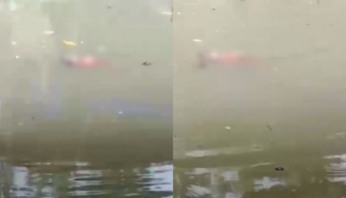 Vídeo: corpo é visto boiando no Canal do Galo em Belém