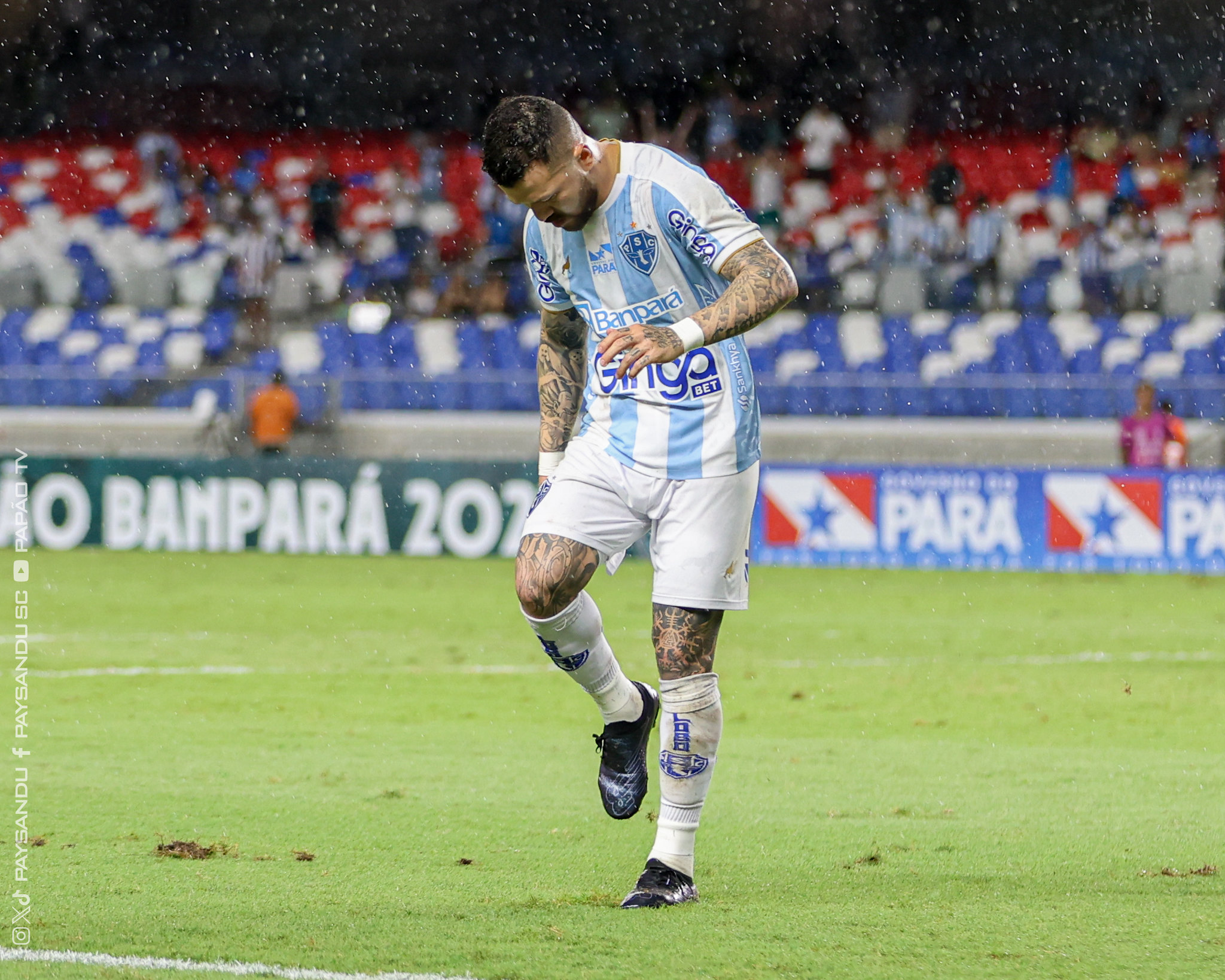 Imagem - Paysandu 'vai disputar o acesso na Série B' diz Rossi após vitória no Parazão