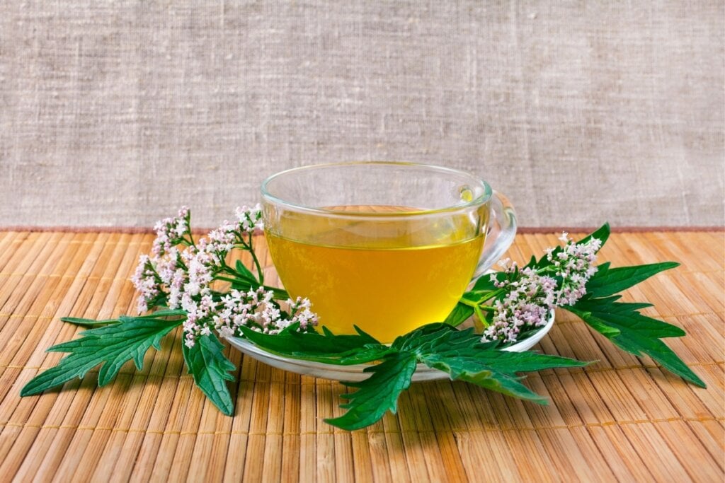 A valeriana ajuda a aliviar dores de cabeça causadas por tensão muscular e estresse (Imagem: Snowbelle | Shutterstock)