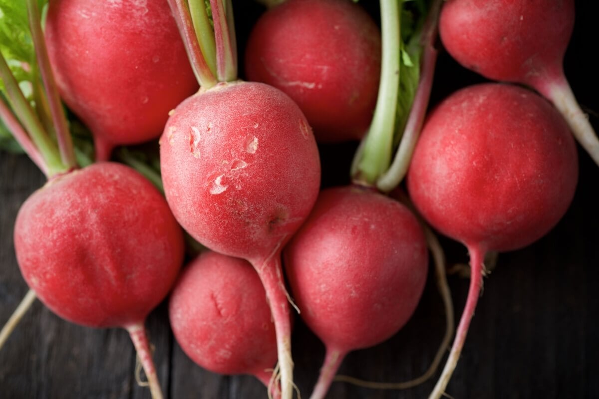 Fonte de nutrientes, o rabanete oferece diversos benefícios para a saúde e adiciona sabor às refeições (Imagem: WINDCOLORS | Shutterstock) 