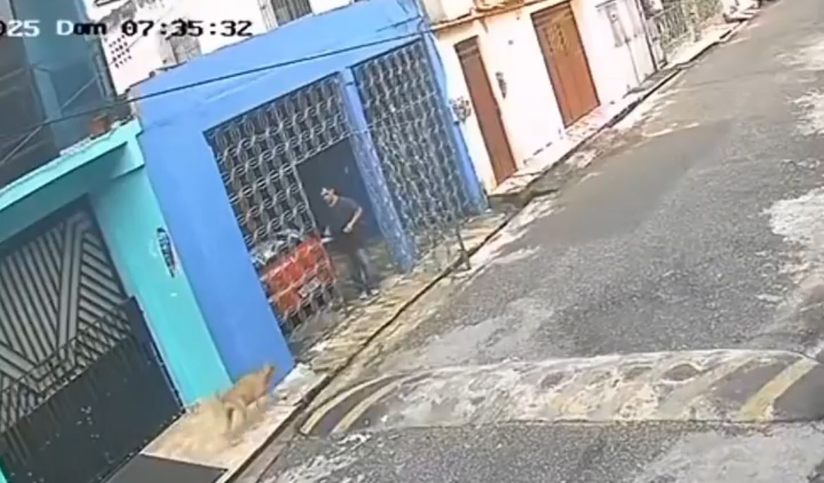 Imagem - Vídeo: homem é preso em flagrante após jogar água quente em cachorro no bairro Curió-Utinga, em Belém