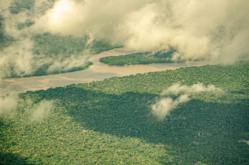Imagem - Pará registra redução de 36% em área recoberta por alerta de desmatamento