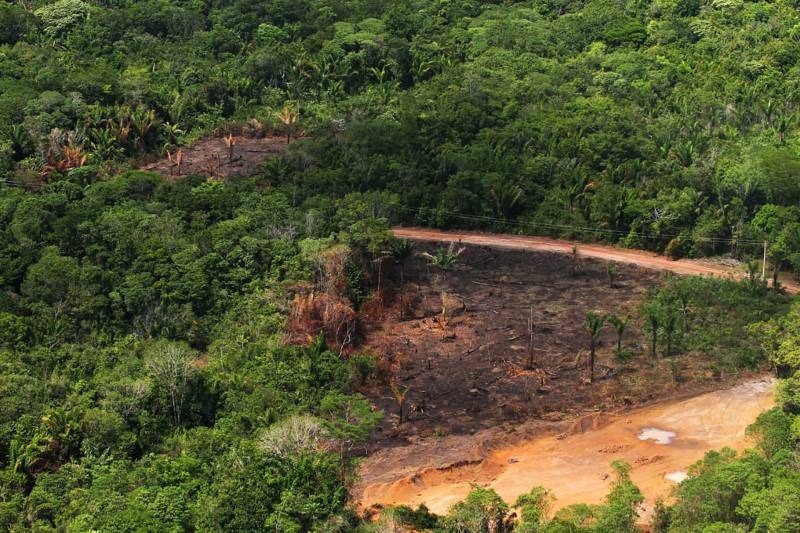 Imagem - Denunciados pelo MPF por desmatamento no Pará são condenados a pagar R$ 31,2 milhões em indenizações