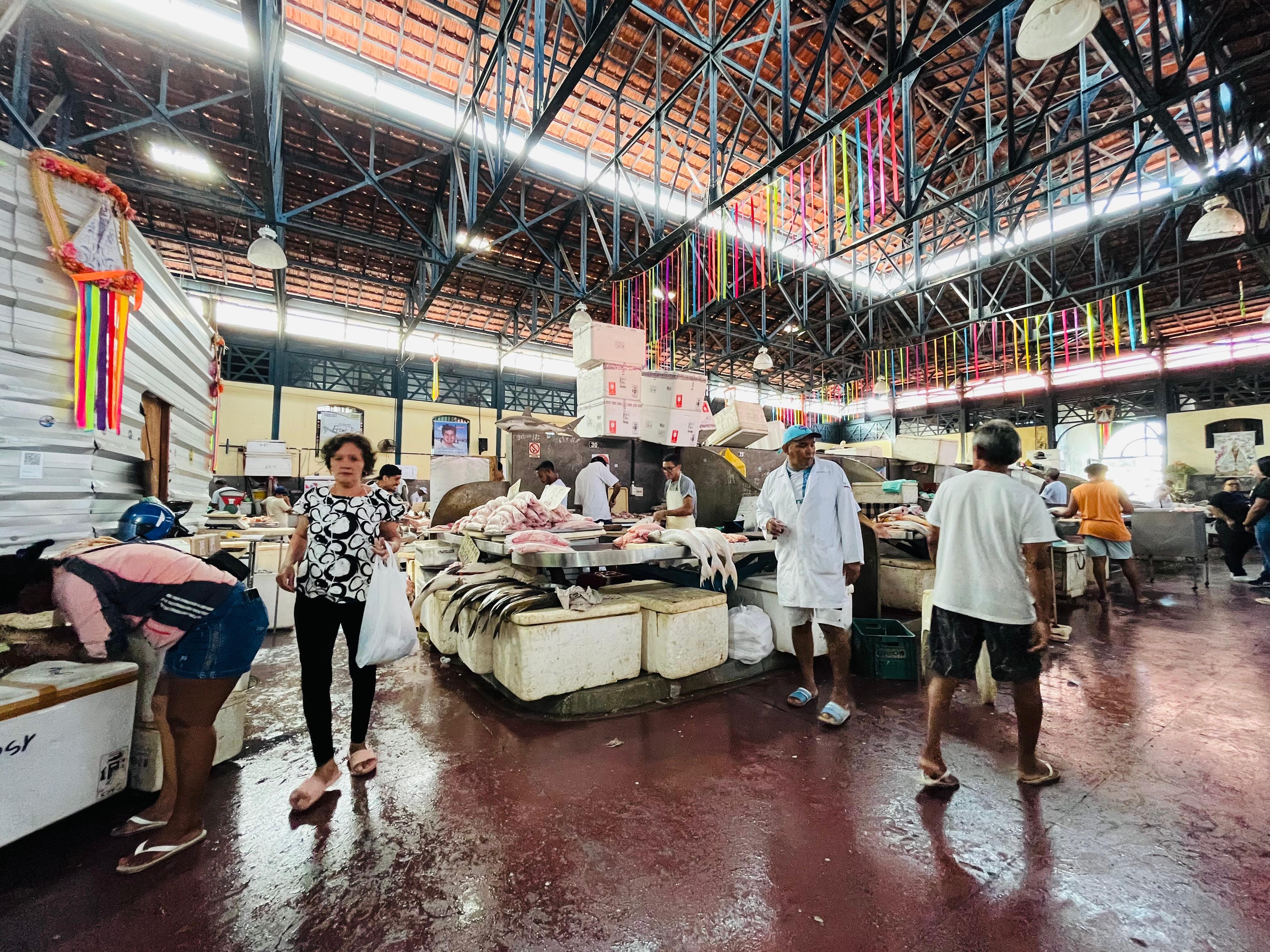 Imagem - Decreto Municipal controla e limita a saída de pescado de Belém