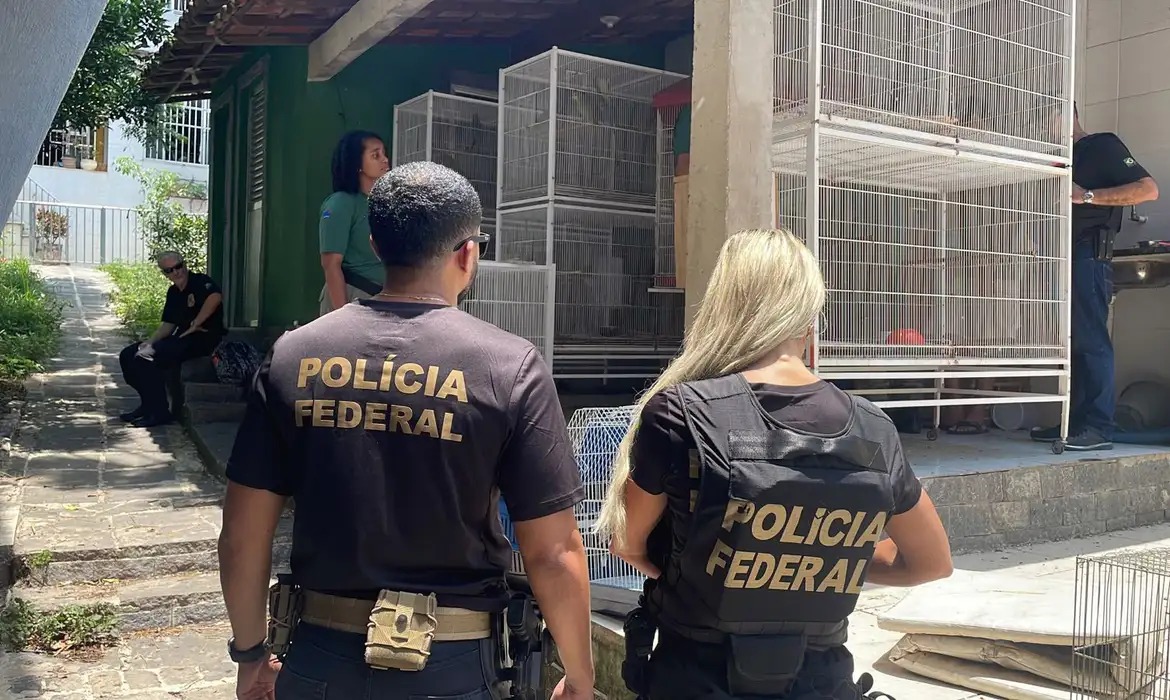 Imagem - No Brasil, idade para aposentadoria de mulheres policiais pode ser mudada; entenda