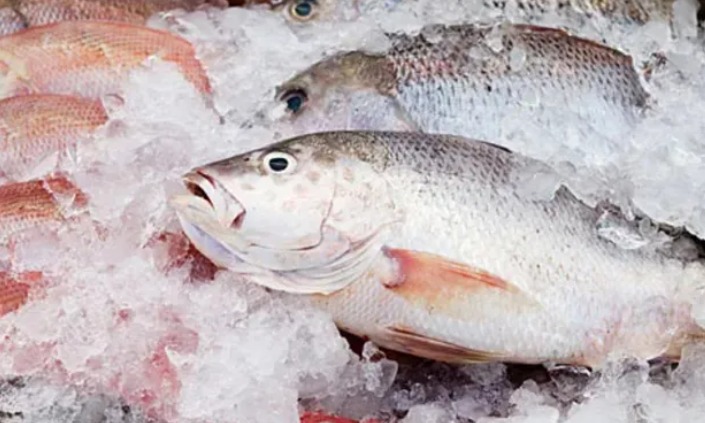 Imagem - Consumo de peixe na Páscoa exige atenção com higiene, preparo e conservação