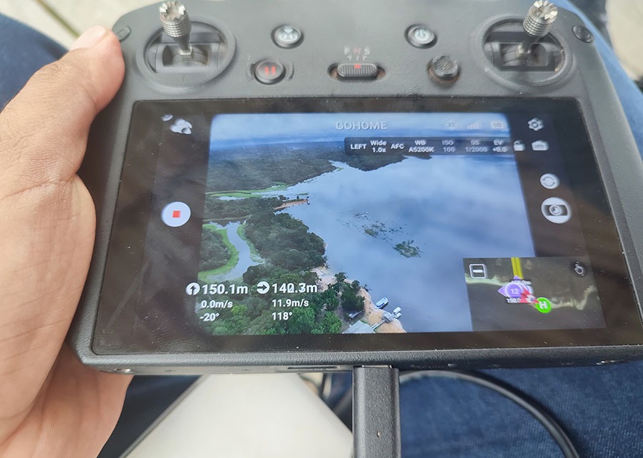 Imagem - Inteligência artificial identifica mais de 600 castanheiras nativas em tempo recorde na Amazônia