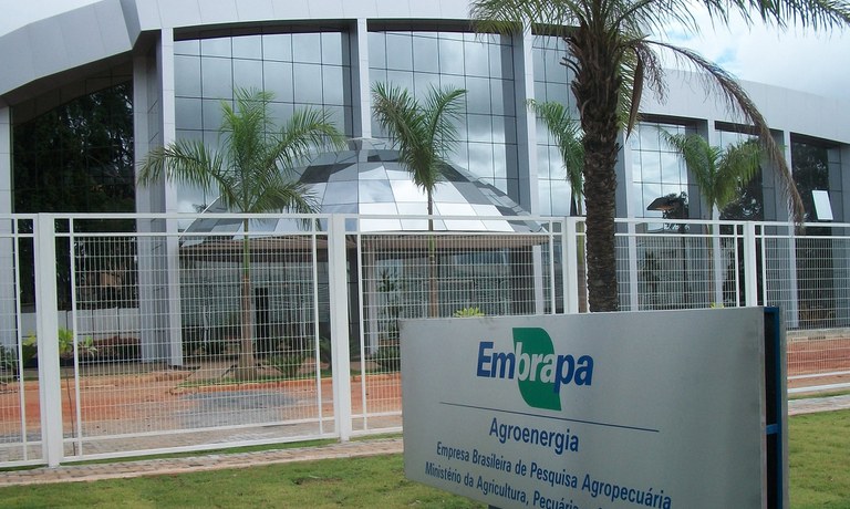 Imagem - Resultado das provas objetivas do concurso da Embrapa já está disponível; confira