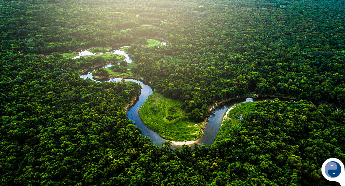 Imagem - Jornalistas vão discutir sobre a COP-30 em São Paulo