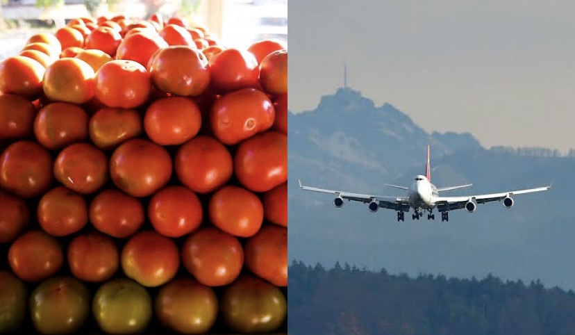 Imagem - IPCA: tomate sobe e preço das passagens aéreas caem
