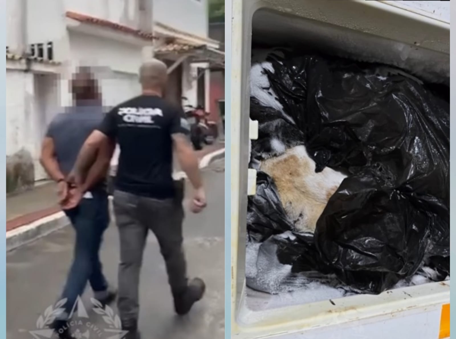 Imagem - Vídeo: médico é preso por maus tratos após polícia encontrar cães congelados