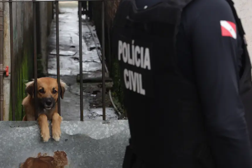 Imagem - Polícia Civil e PCEPA combatem maus-tratos a animais na Região Metropolitana de Belém