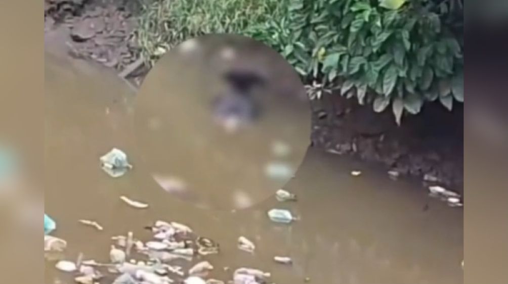 Imagem - Vídeo: corpo é encontrado boiando em canal da Arthur Bernardes, em Belém