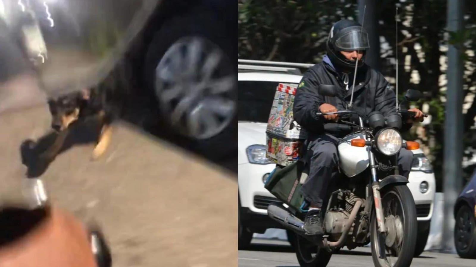 Imagem - Motoboy flagra cachorro 'escondido' que persegue quem passa de moto