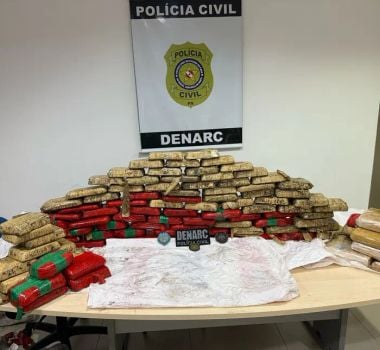 Imagem - Divisão de Narcóticos da Polícia Civil apreende 180 kg de entorpecentes em Cametá