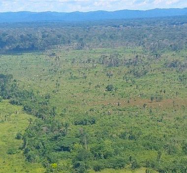 Imagem - Operação do Governo federal retira invasores de Terra Indígena no combate ao garimpo ilegal, no Pará