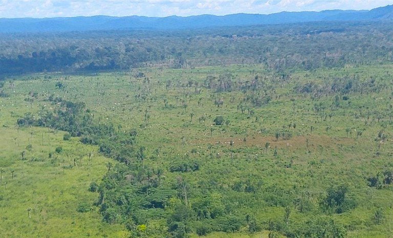 Território tem uma das maiores áreas devastadas pela atividade garimpeira no Brasil, o equivalente a 253 campos de futebol.