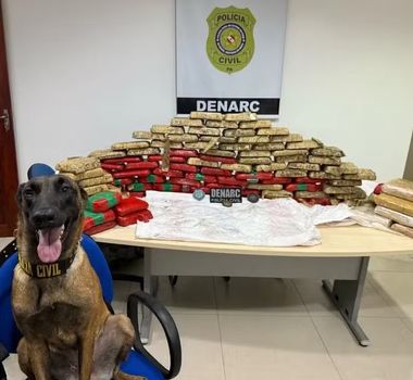 Imagem - Cadela encontra esconderijo com 180 quilos de drogas em comunidade de Cametá, no Pará