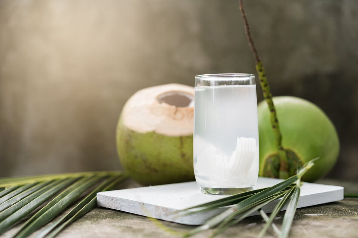 A água de coco oferece benefícios além da hidratação (Imagem: Here Asia | Shutterstock)