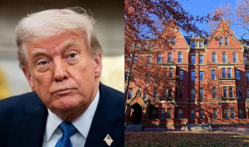 Imagem - Trump diz que vai tirar isenção fiscal de Harvard: 'é o que merecem'