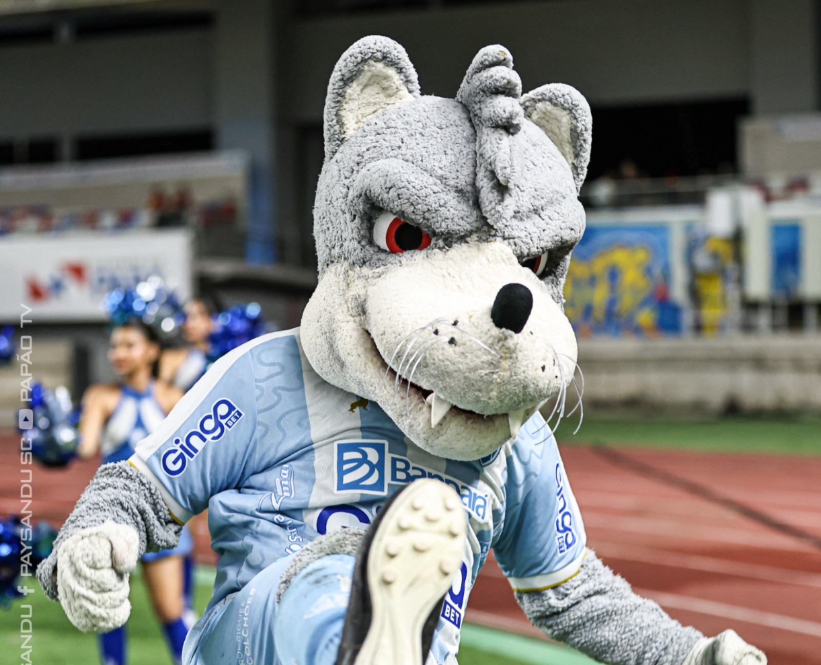 Imagem - Crise: Paysandu chega a oito jogos sem vencer na temporada 2025