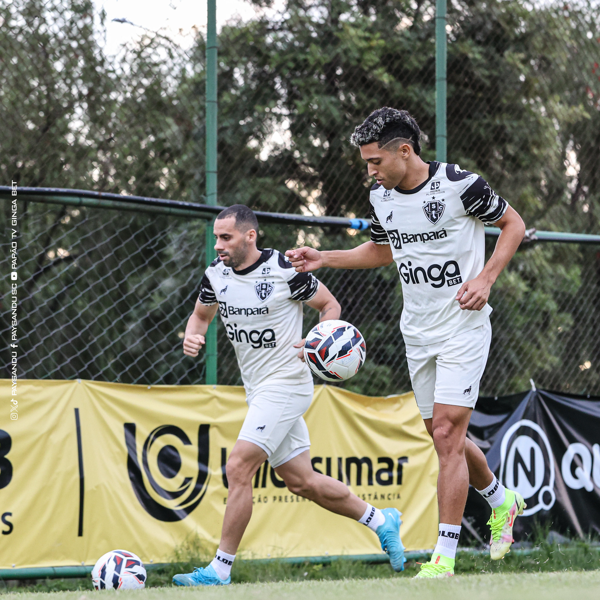 Imagem - Paysandu finaliza últimos preparativos para enfrentar o Volta Redonda; confira