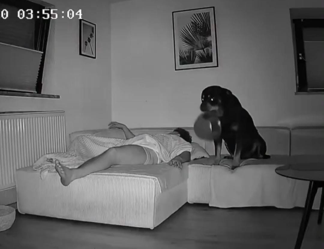 Vídeo repercutiu nas redes sociais -