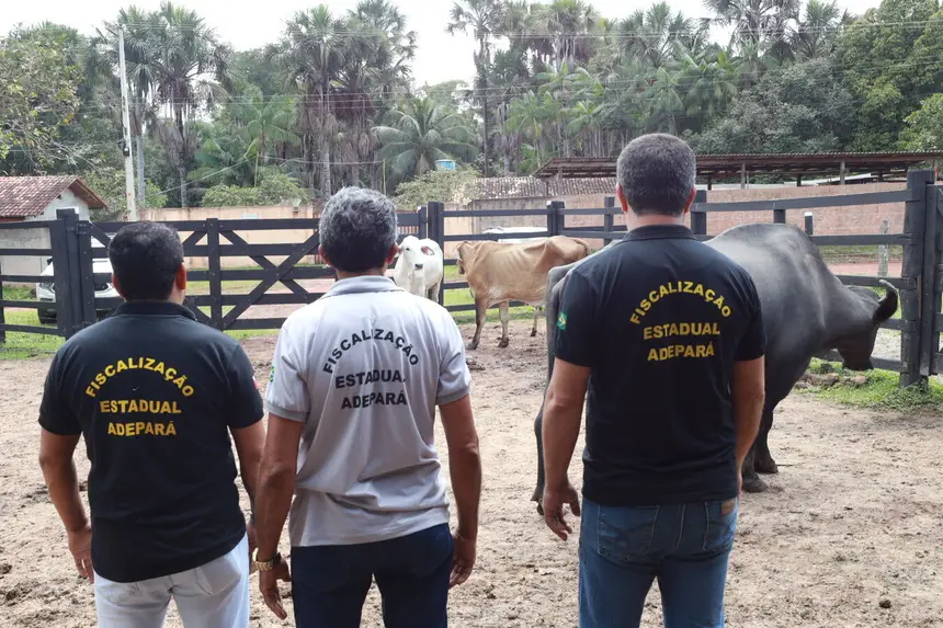 Imagem - Adepará inicia campanha de atualização de cadastro de animais no Estado