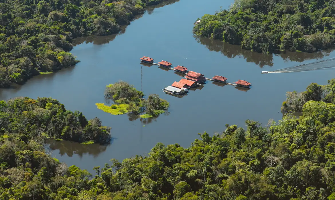 Imagem - Museu Goeldi promove ciclo de debates sobre a Amazônia visando a COP30