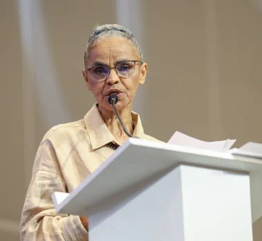 Imagem - Mobilização social é fundamental para políticas ambientais, diz ministra