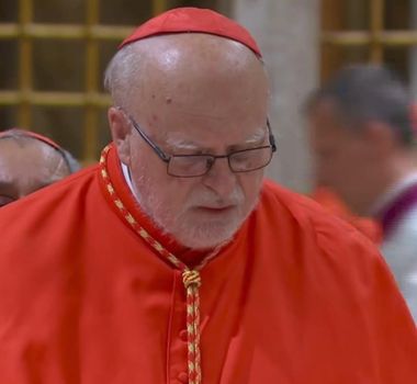 Imagem - Por que cardeal sueco é favorável à lei sobre 'ecocídio' e está cotado para ser o novo papa