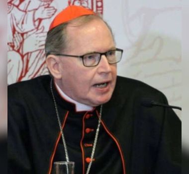 Imagem - Formado em Medicina e especialista em bioética: quem é o cardeal holandês cotado para ser papa