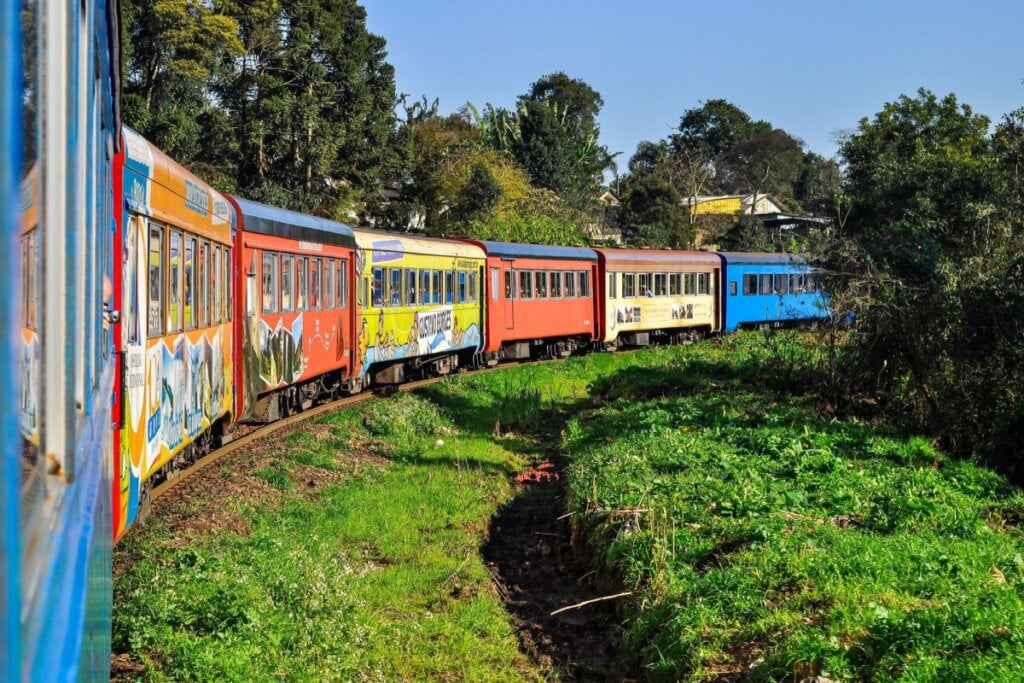 A viagem até Morretes já foi considerada um dos melhores passeios de trem pelo The Guardian e pelo The Wall Street Journal (Imagem: cabuscaa | Shutterstock)